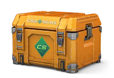 Gallery Case