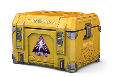 Shattered Web Case