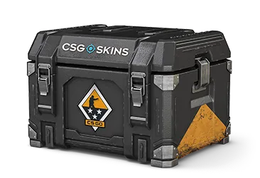 Weapon Case 3