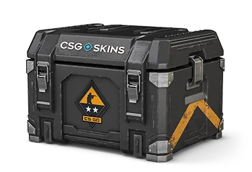 Weapon Case 2