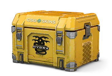 Operation Hydra Case