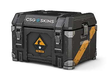 Weapon Case