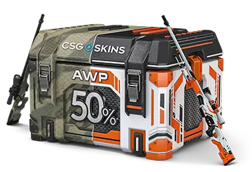 AWP Skin Case