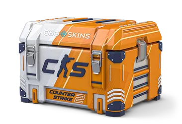 CS2 Case