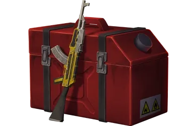 case