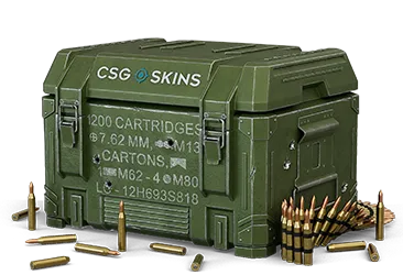 Ammo Case