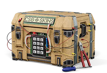 C4 Case