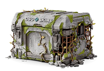 Ruined Case
