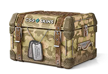 Military Case