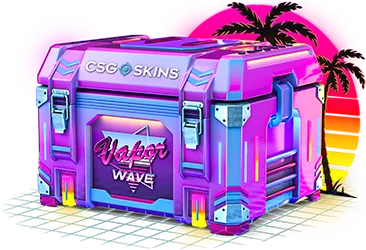 Vaporwave Case