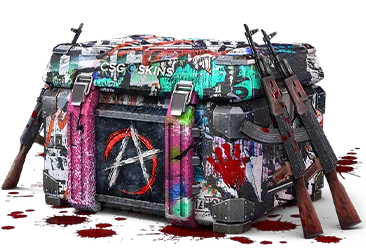 Anarchy Case