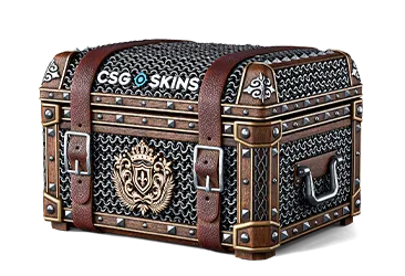 Medieval Case